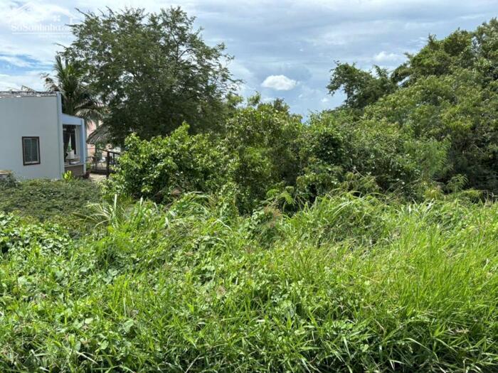 Hình ảnh Đất vườn 669m2 mt đường 5 mét View sông Vàm Cỏ xã Long Hựu rẻ 650tr 1