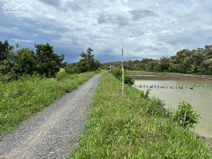 Hình ảnh Đất vườn 669m2 mt đường 5 mét View sông Vàm Cỏ xã Long Hựu rẻ 650tr 0