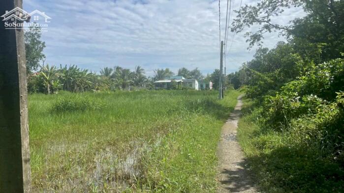 Hình ảnh (40x25) b.á.n đất gần QL50 Bình Đông, TP Gò Công (nay P. Sơn Qui, tỉnh Đồng Tháp) giá 1 tỷ 3