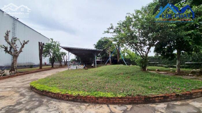 Hình ảnh Bán nhà xưởng MT QL51: 6500m2 giá chỉ 83,9 tỷ. Phú Mỹ-Bà Rịa Vũng Tàu 4