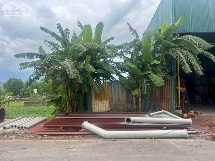 Hình ảnh Bán đất view cánh đồng khu đấu giá Đồng Cửa Quán, Thanh Trù, Vĩnh Yên, Vĩnh Phúc. 0