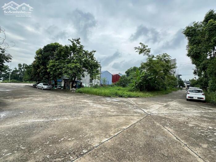 Hình ảnh Bán đất băng 2 QL2B May Mặc, Kim Long, Tam Dương, Vĩnh Phúc 2