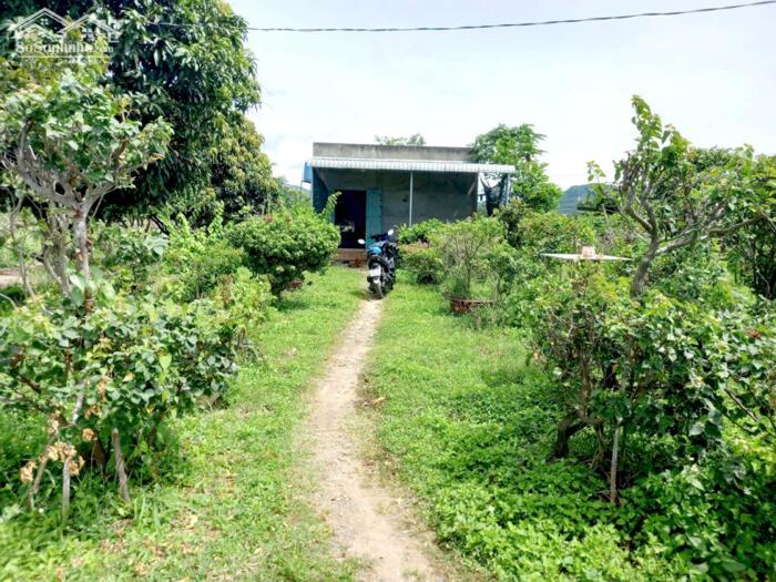 Hình ảnh Ngộp quá bán nhanh-Đất Thôn 2-Hàm Liêm-Lâm Đồng-10.300m2+11.400m2 0