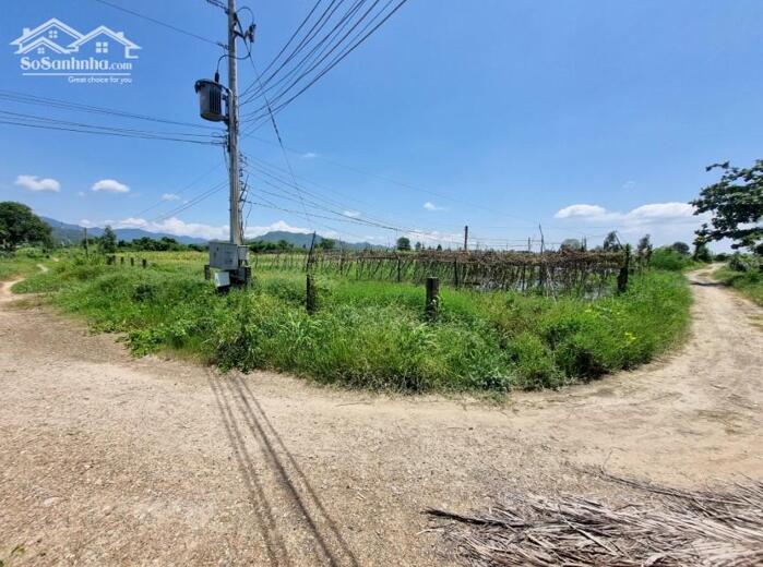 Hình ảnh Ngộp quá bán nhanh-Đất Thôn 2-Hàm Liêm-Lâm Đồng-10.300m2+11.400m2 2