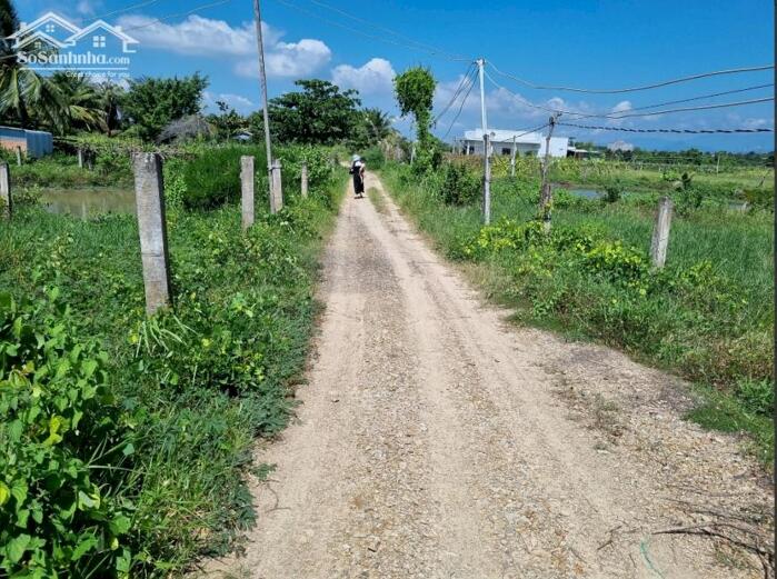 Hình ảnh Ngộp quá bán nhanh-Đất Thôn 2-Hàm Liêm-Lâm Đồng-10.300m2+11.400m2 3