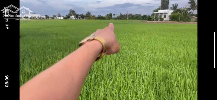 Hình ảnh Đất vườn 1367m2 View sông Vàm Cỏ xã Long Hựu giá trọn sổ 550tr 1