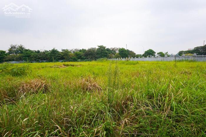 Hình ảnh Bán 2000m2 đất nhà xưởng cụm CN Ninh Hiệp, Gia Lâm, HN. 0