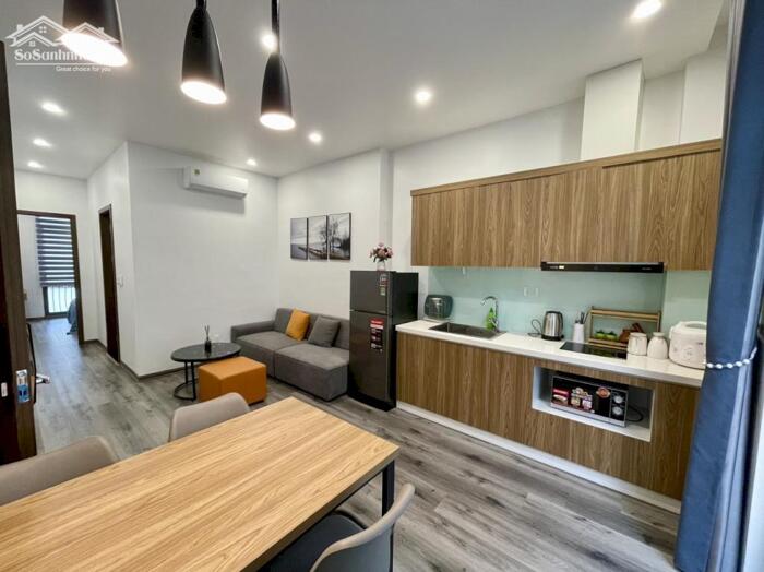 Hình ảnh Cho thuê căn hộ 1 ngủ riêng biệt (45m2) Vinhomes Cầu Rào 2. 5