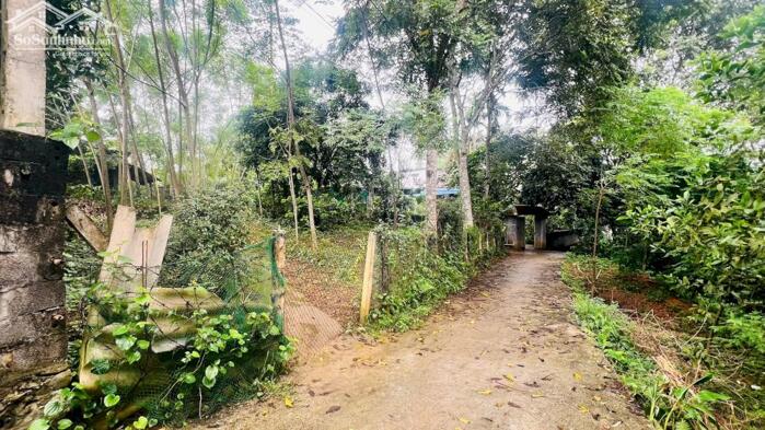 Hình ảnh CHÍNH CHỦ CẦN BÁN LÔ ĐẤT ĐẸP – VĨNH TIẾN, KIM BÔI, HÒA BÌNH 0