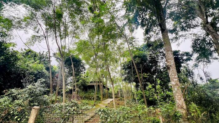 Hình ảnh CHÍNH CHỦ CẦN BÁN LÔ ĐẤT ĐẸP – VĨNH TIẾN, KIM BÔI, HÒA BÌNH 1