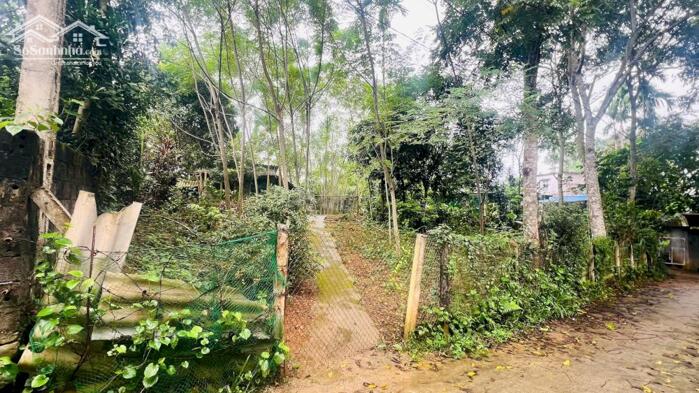 Hình ảnh CHÍNH CHỦ CẦN BÁN LÔ ĐẤT ĐẸP – VĨNH TIẾN, KIM BÔI, HÒA BÌNH 3