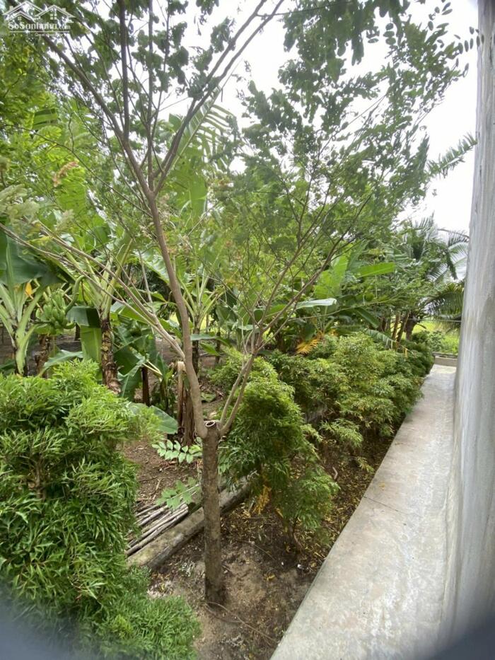 Hình ảnh Ngộp bán nhanh 2 nhà Yến-Xã Hải Ninh(Bình An-Bắc Bình cũ)-Lâm Đồng-DT đất 3.427m2 4