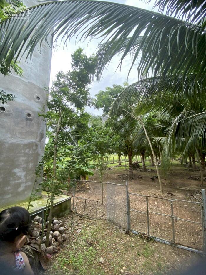 Hình ảnh Ngộp bán nhanh 2 nhà Yến-Xã Hải Ninh(Bình An-Bắc Bình cũ)-Lâm Đồng-DT đất 3.427m2 5