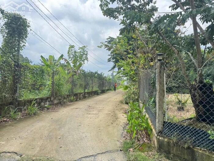 Hình ảnh Vườn Mít Bình Lợi Vĩnh Cửu Diện tích : 2000m2 ( 27 x 75 ) 2