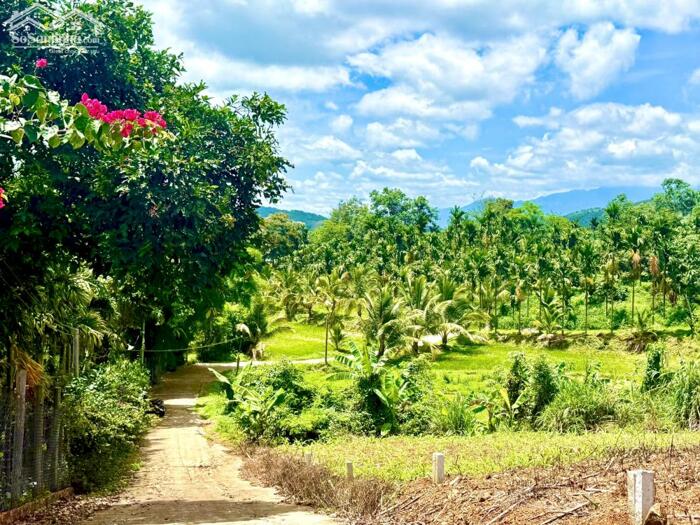 Hình ảnh Ea Hu-Cưkuin- Đắk Lắk dt 5*32m sẵn 60m2 thổ cư kdc đường bêtông quy hoạch 8m oto tới đất chỉ 1xxtr 3