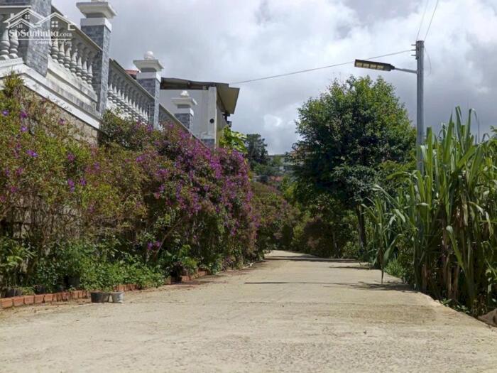 Hình ảnh Bán đất hẻm 11 Khe Sanh, Phường 10, TP. Đà Lạt – Khu vực biệt thự, view thung lũng thoáng đẹp 0