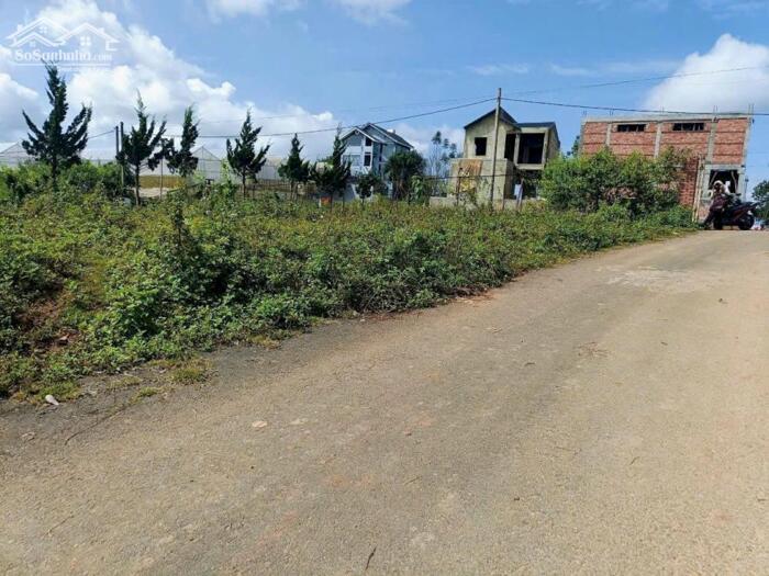 Hình ảnh Bán đất biệt thự Măng Lin, Đà Lạt – View rừng thông, mặt tiền rộng 5