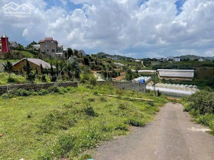 Hình ảnh Bán đất biệt thự Măng Lin, Đà Lạt – View rừng thông, mặt tiền rộng 0