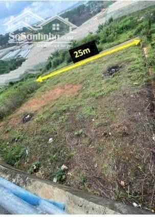 Hình ảnh Bán đất biệt thự Măng Lin, Đà Lạt – View rừng thông, mặt tiền rộng 2