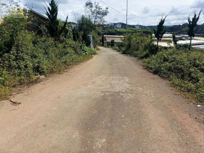 Hình ảnh Bán đất biệt thự Măng Lin, Đà Lạt – View rừng thông, mặt tiền rộng 3