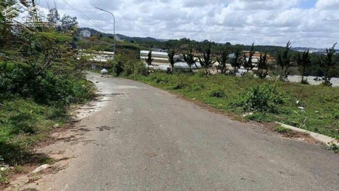 Hình ảnh Bán đất biệt thự Măng Lin, Đà Lạt – View rừng thông, mặt tiền rộng 1