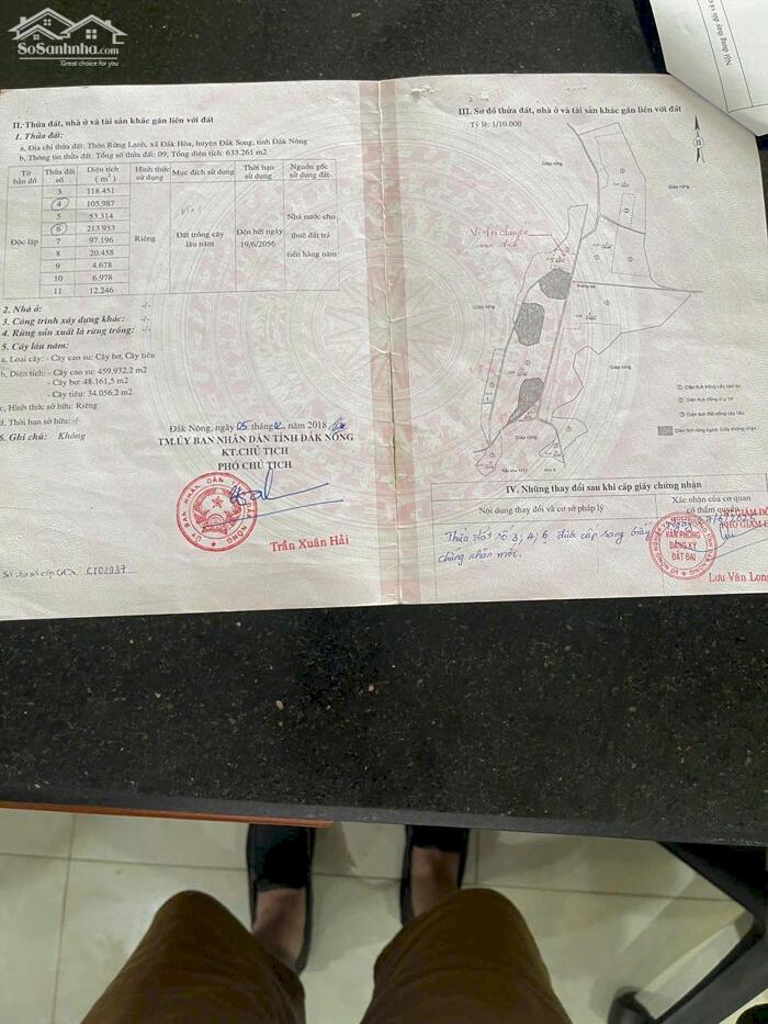 Hình ảnh 45ha đất bằng sổ đủ điện 3pha, nước thoải mái tại xã Đức Hòa Lâm Đồng 1