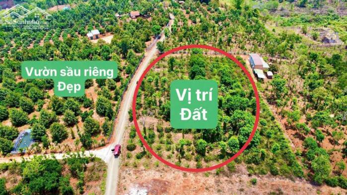 Hình ảnh Ea Hding- Cư Mgar- Đắk Lắk dt 10*50 m đất đỏ bazan trên đất full trái cây tiêu cho thu đường oto tới đất sắp đổ bê tông 0