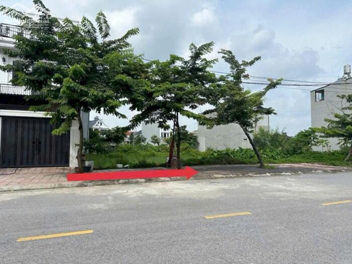 Hình ảnh Bán đất Đồng Hin , Lai Sơn, Vĩnh Yên. 0