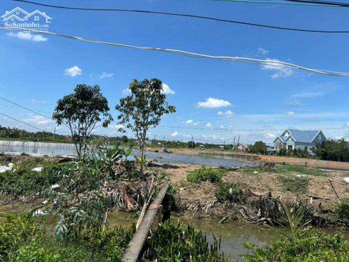 Hình ảnh Đất full thổ 609m2 mt kênh 6 mét View sông Vàm Cỏ xã Tân Chánh trọn sổ 700tr 4