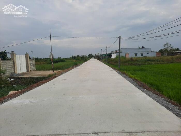 Hình ảnh Siêu phẩm nhà vườn 1000m2 (300 thổ + 700 vườn) mt xe hơi xã Tân Lân giá rẻ khách mua 3 tỏi 1 TL Chủ 2