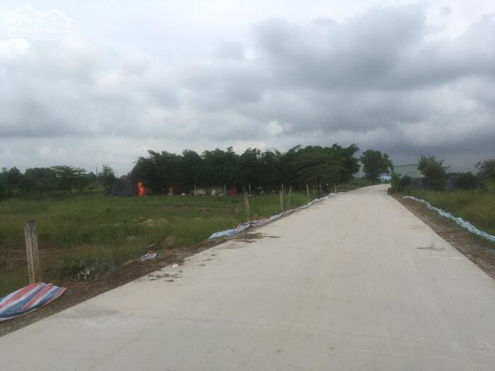 Hình ảnh Siêu phẩm nhà vườn 1000m2 (300 thổ + 700 vườn) mt xe hơi xã Tân Lân giá rẻ khách mua 3 tỏi 1 TL Chủ 0