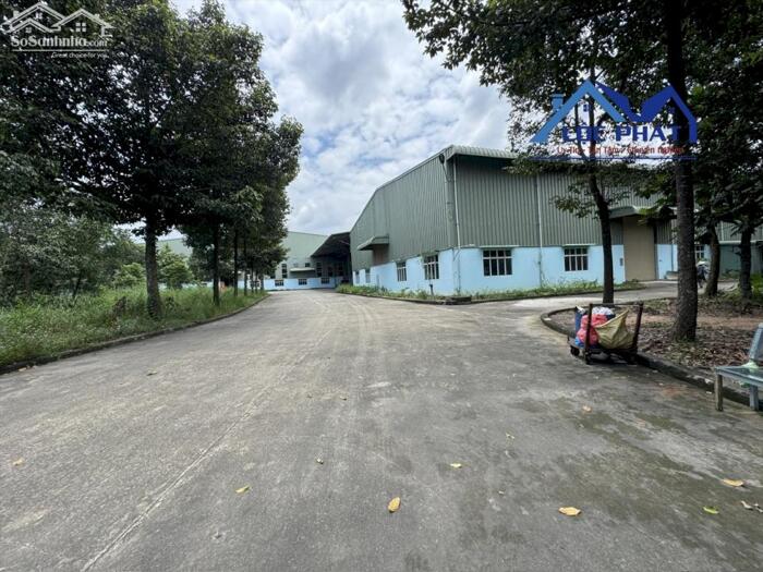 Hình ảnh Cho thuê nhà xưởng 1060m2 giá chỉ 81 triệu. Tam Phước-Biên Hòa-Đồng Nai 2