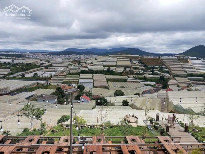 Hình ảnh Bán Đất Kqh Huỳnh Tấn Phát, Phường 11, Tp. Đà Lạt – Vị Trí Gần Xóm Lèo, View Đồi Thông Thơ Mộng 0