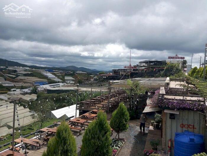 Hình ảnh Bán Đất Kqh Huỳnh Tấn Phát, Phường 11, Tp. Đà Lạt – Vị Trí Gần Xóm Lèo, View Đồi Thông Thơ Mộng 2