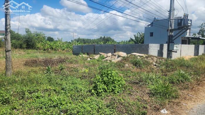 Hình ảnh 21x49(1000m2) Lê Văn Tám Tân An LaGi Giá Cực Rẻ Chỉ 4,2tr/m2 1