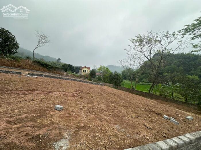 Hình ảnh BÁN 3 LÔ LIỀN KỀ – TRUNG TÂM LIÊN SƠN, LƯƠNG SƠN (CŨ) 2