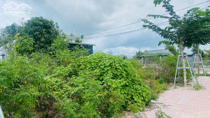 Hình ảnh Bán Đất 6x37(224m2) Đoàn Thị Điểm Tân An LaGi Giá Ngộp 0