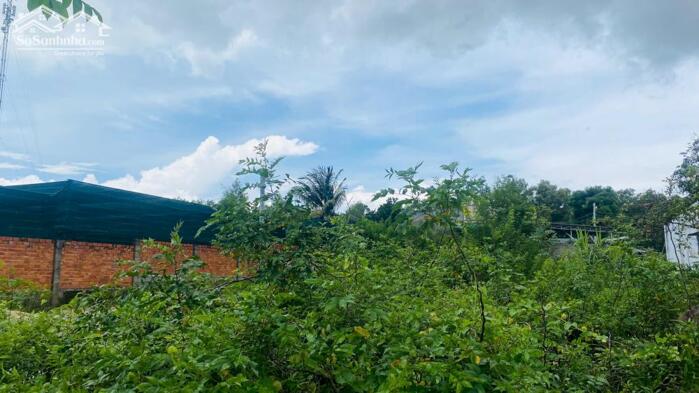 Hình ảnh Bán Đất 6x37(224m2) Đoàn Thị Điểm Tân An LaGi Giá Ngộp 2