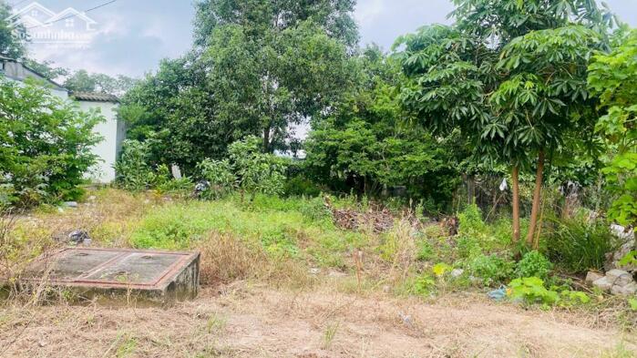 Hình ảnh 6x28(170m2) 50m2 tc Trưng Trắc Tân An LaGi Giá Đầu Tư 3