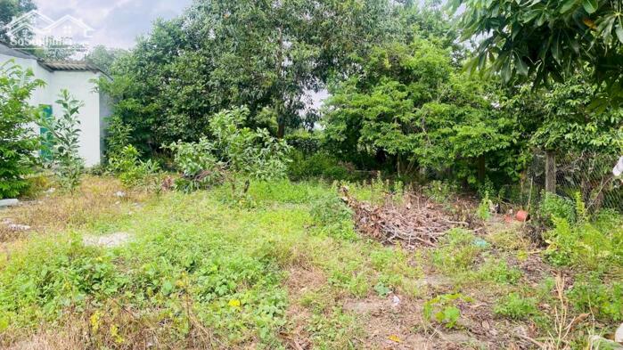 Hình ảnh 6x28(170m2) 50m2 tc Trưng Trắc Tân An LaGi Giá Đầu Tư 0