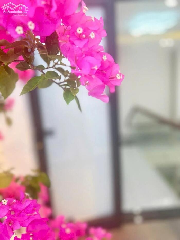 Hình ảnh SIÊU RẺ _ BÁN NHÀ 2 TẦNG HUỲNH NGỌC HUỆ _ 2 TẦNG _ KIỆT 2.5M _ GIÁ 3.45 TỶ 2