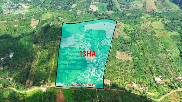 Hình ảnh 13ha đất rẫy cà phê và sầu riêng giá rẻ tại xã Trường Xuân tỉnh Lâm Đồng 1