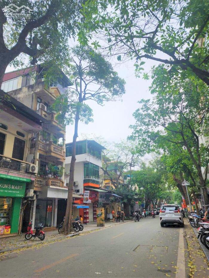 Hình ảnh Bán nhà Mặt Phố cổ Hàng Cót 200m2 x 7 Tầng, Mặt tiền 17m đẳng cấp 0