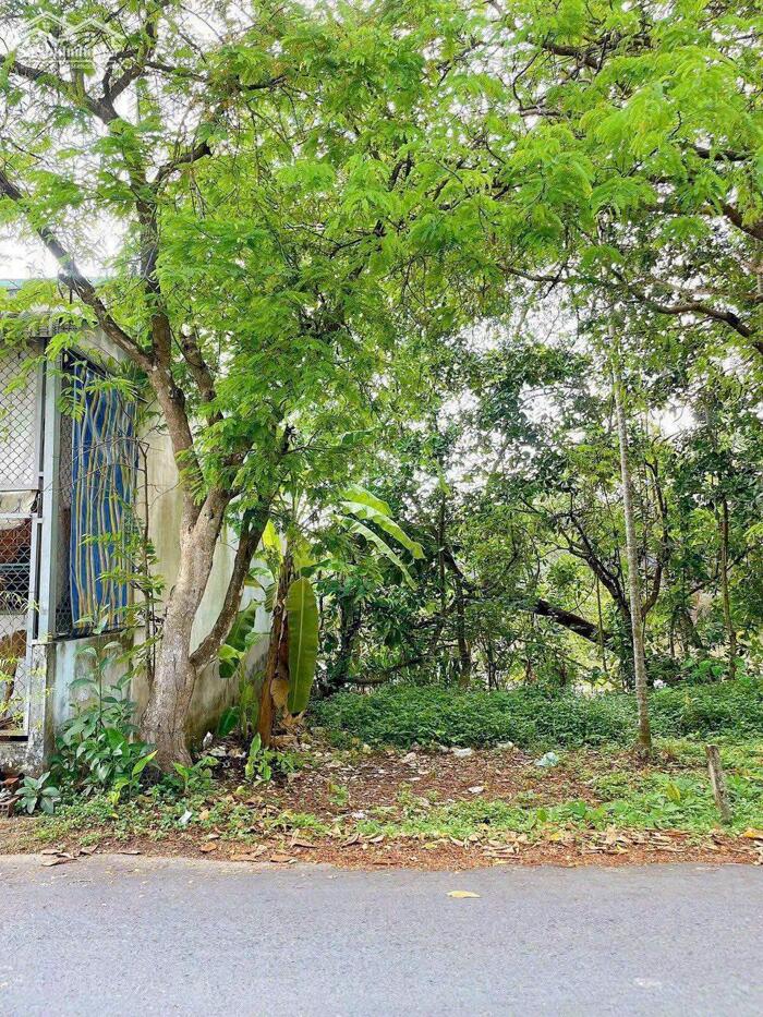 Hình ảnh Bán nền mặt tiền đường đinh công chánh giá dưới 1,5 tỷ 0