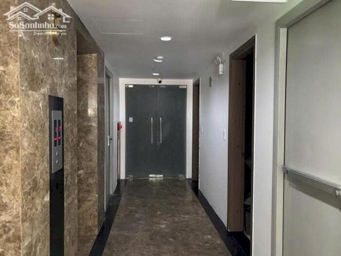 Hình ảnh Bán toà nhà 9 tầng Mặt đường Đại La 270m2 4