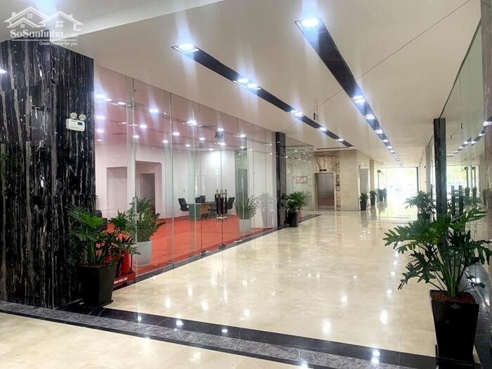 Hình ảnh Bán tòa nhà văn phòng mặt phố Nguyễn Chí Thanh 135m2 10 tầng thang máy 115 tỷ 5