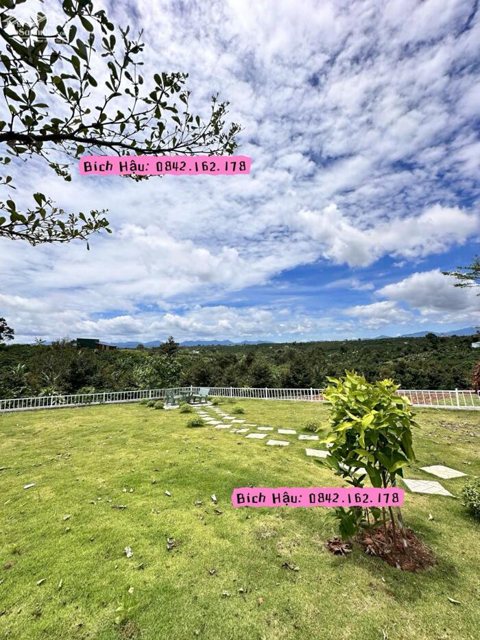 Hình ảnh Đất thổ cư ở Bảo Lộc, Bảo Lâm view đồi thoáng ngay KDC giá 1ty2 ngang 14m 1