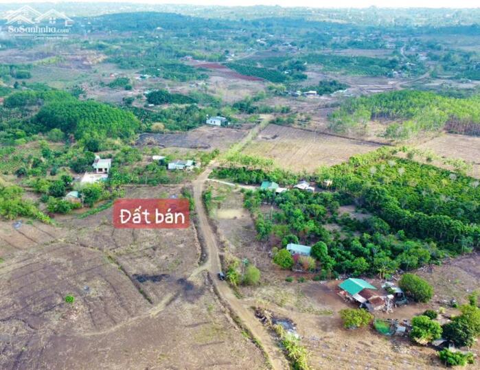 Hình ảnh Ea Kiết-Cư Mgar- Đắk Lắk dt 1000m2 đường oto tới đât giá chỉ 139tr bao sổ 1