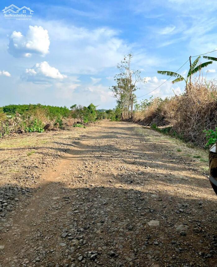 Hình ảnh Ea Kiết-Cư Mgar- Đắk Lắk dt 1000m2 đường oto tới đât giá chỉ 139tr bao sổ 2