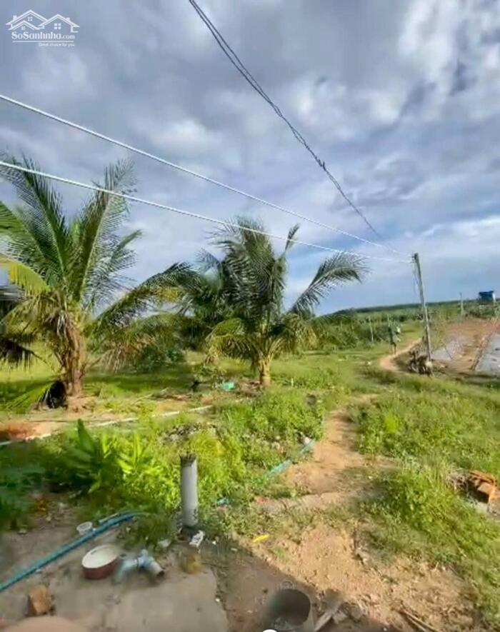 Hình ảnh 2,4 Mẫu Giá Chỉ 10 Tỷ Tân Hải LaGi Sẵn Nhà Vườn Đường Ô Tô 4